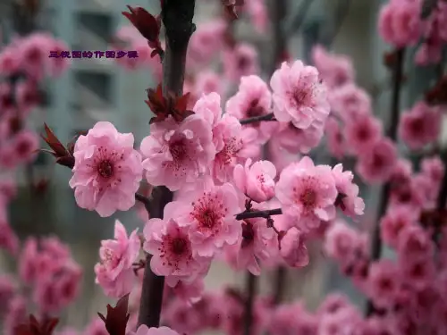 三视图的作图步骤ppt课件