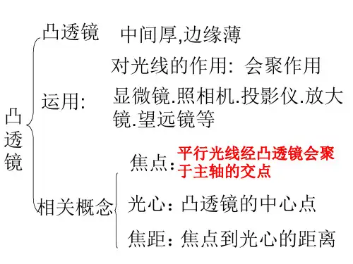 照相机、投影仪、放大镜的成像原理  ppt课件