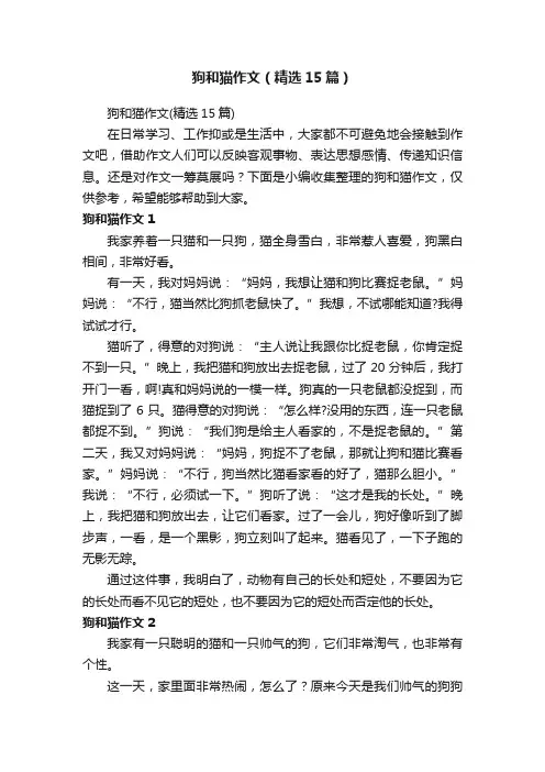 狗和猫作文（精选15篇）