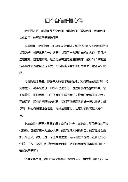 四个自信感悟心得
