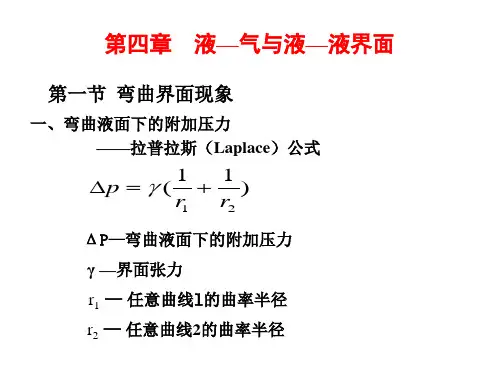 图4-10表面活性剂分子结构示意图