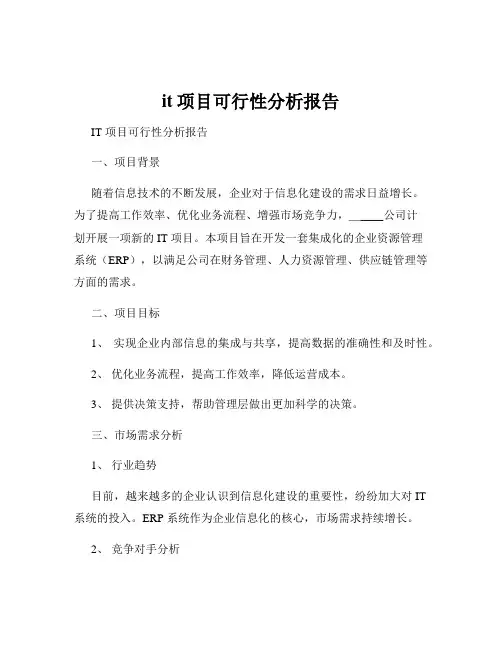 it项目可行性分析报告