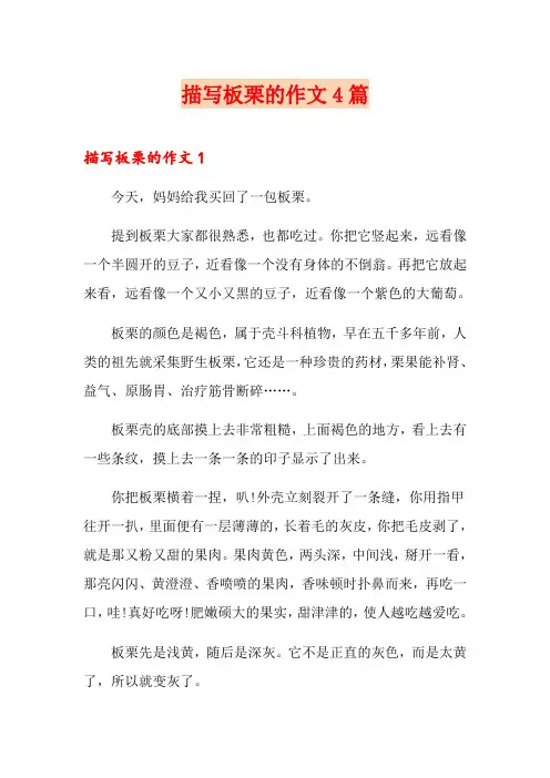 描写板栗的作文4篇