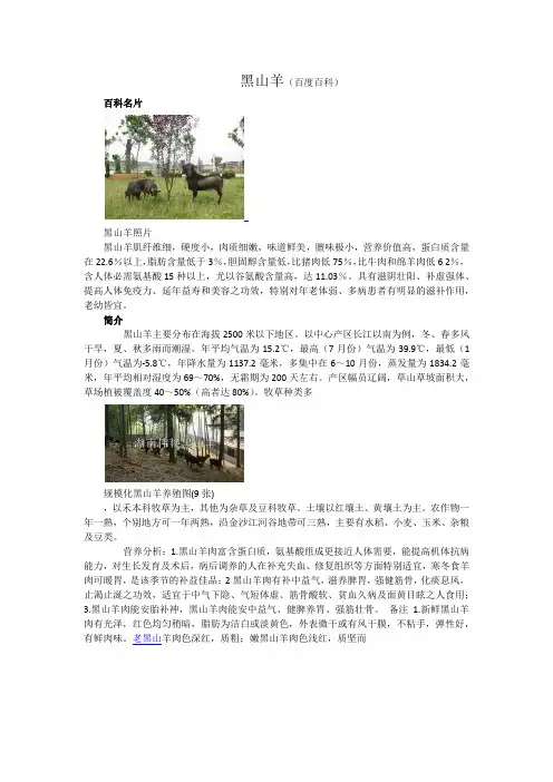 黑山羊(百度百科)