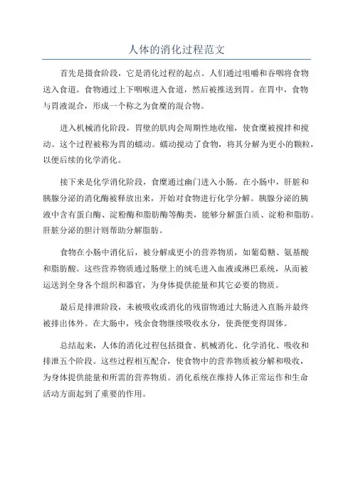 人体的消化过程范文