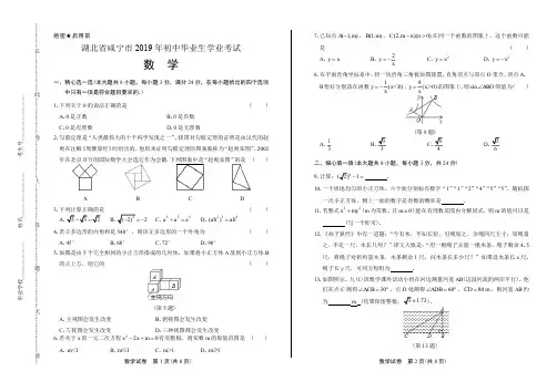 2019年湖北省咸宁中考数学试卷