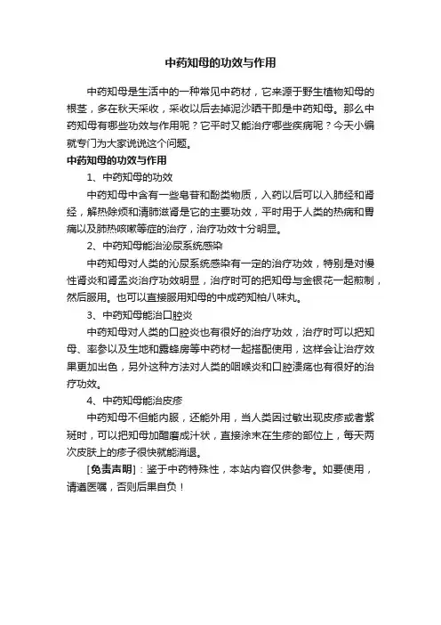 中药知母的功效与作用
