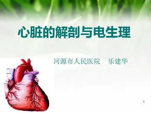 心脏电生理PPT课件 