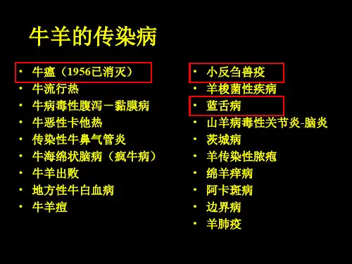 动物传染病学-牛病串讲PPT课件(精品)