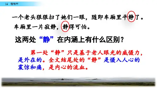 六年级上册语文课件-14 在柏林人教(部编版) (共34张PPT)_21-25