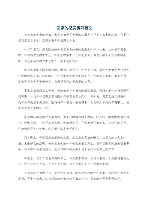 回家的感觉真好范文