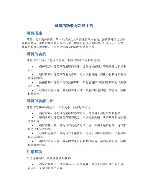 薄荷的功效与功能主治图片