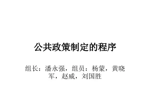 公共政策制定的程序
