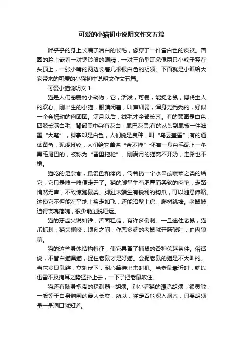 可爱的小猫初中说明文作文五篇