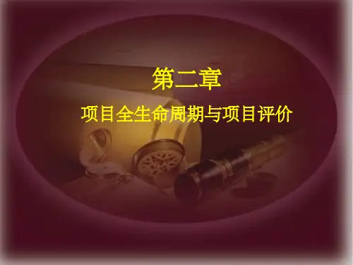 项目生命周期与项目评价ppt课件