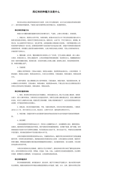 西红柿的种植方法是什么
