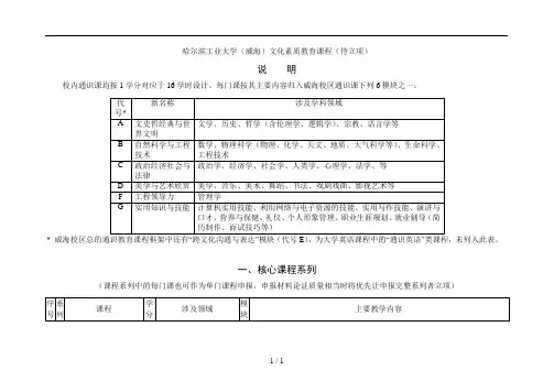 哈尔滨工业大学(威海)文化素质教育课程(待立项)[001]