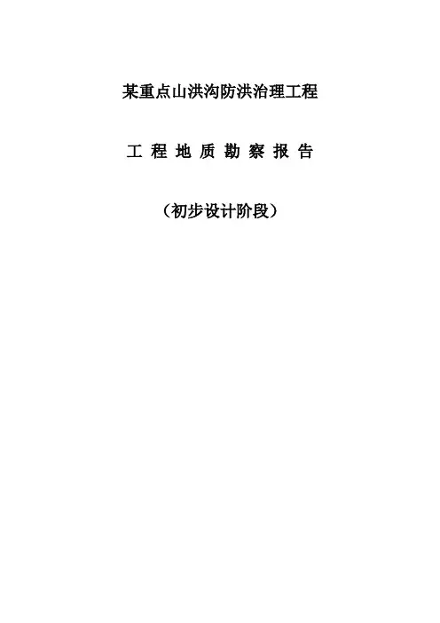 某重点山洪沟防洪治理项目初步设计地质报告