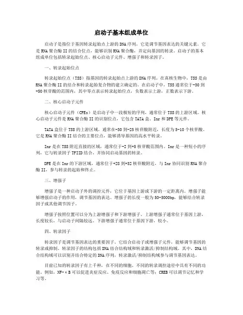 启动子基本组成单位
