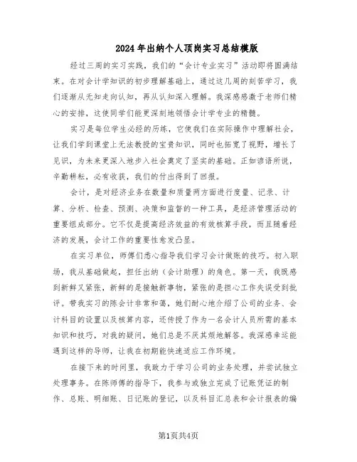 2024年出纳个人顶岗实习总结模版（3篇）