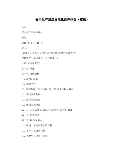 安全生产三级标准化自评报告(模板)