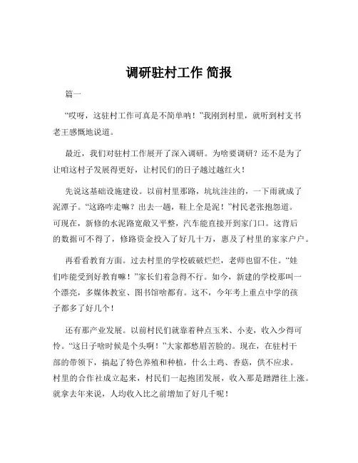 调研驻村工作 简报
