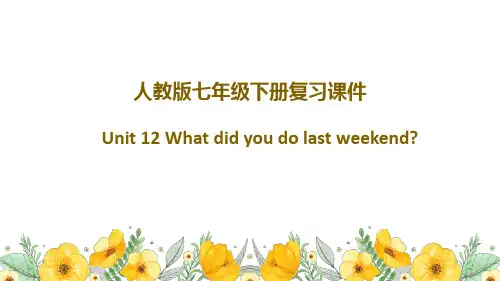 Unit 12 人教版英语七年级下册复习课件(共46张PPT)