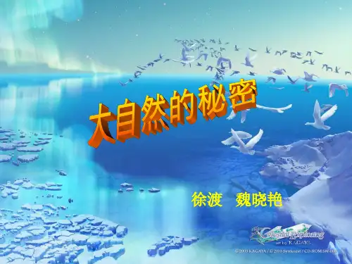六年级语文大自然的秘密PPT优秀课件