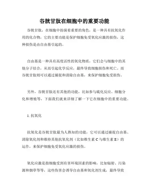 谷胱甘肽在细胞中的重要功能