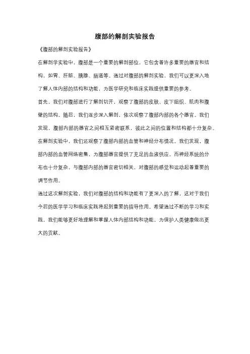 腹部的解剖实验报告