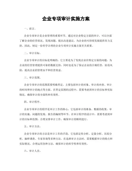 企业专项审计实施方案