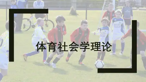 体育社会学课件：体育社会学理论
