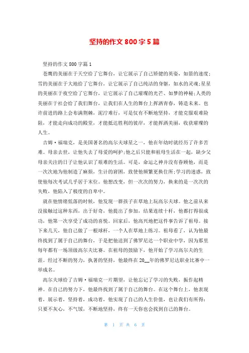 坚持的作文800字5篇