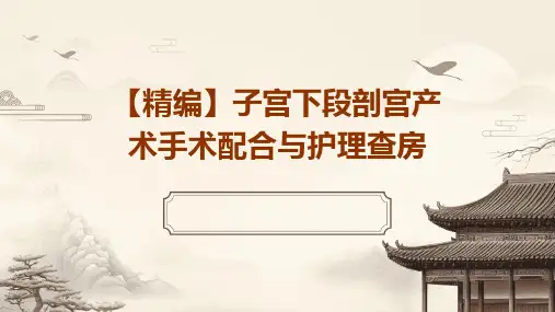 【精编】子宫下段剖宫产术手术配合与护理查房