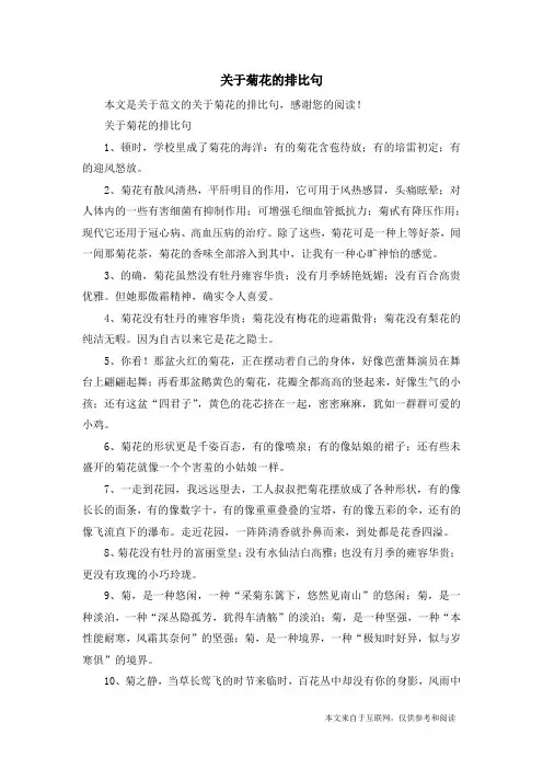关于菊花的排比句_范文