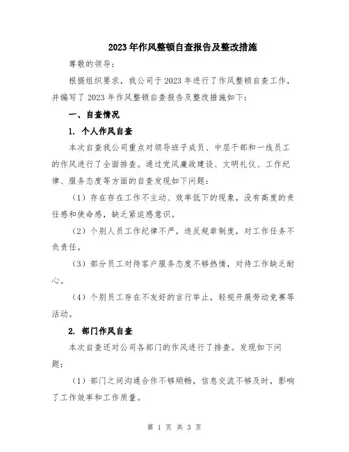 2023年作风整顿自查报告及整改措施