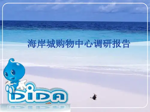 海岸城调研报告