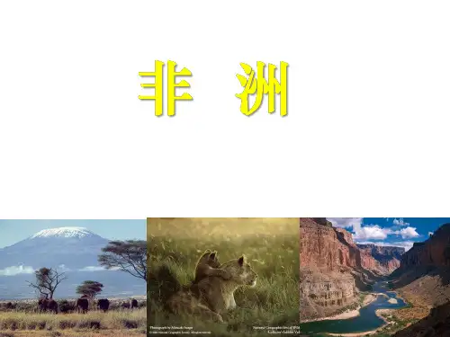 非洲与埃及高二区域地理