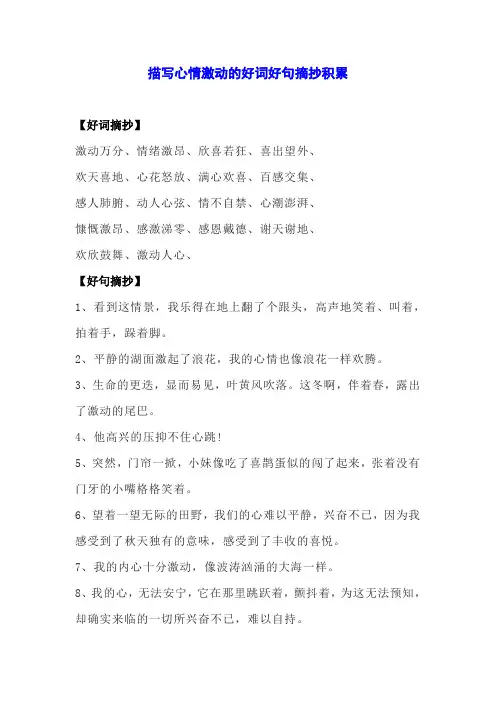 描写心情激动的好词好句摘抄积累