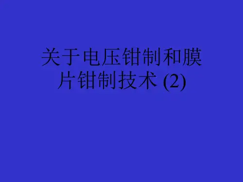 关于电压钳制和膜片钳制技术 (2)课件