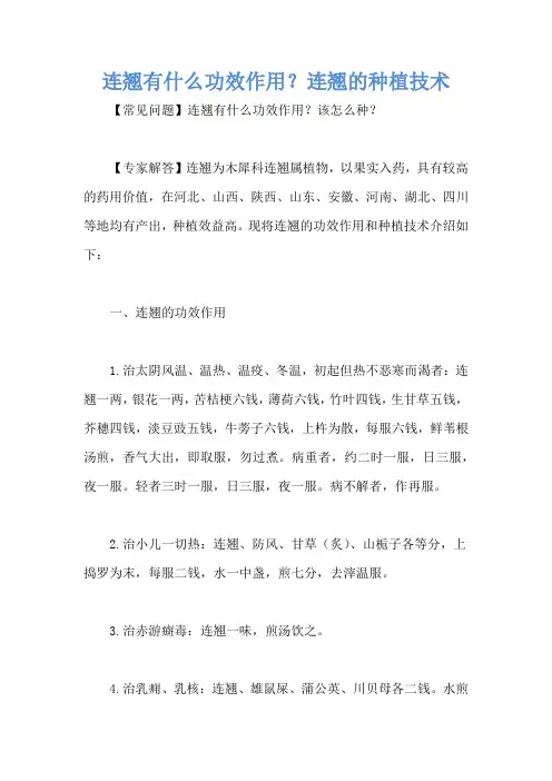 连翘有什么功效作用？连翘的种植技术