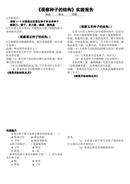 《第1节 种子萌发形成幼苗 观察种子的结构》实验报告-北师大版生物七年级上册