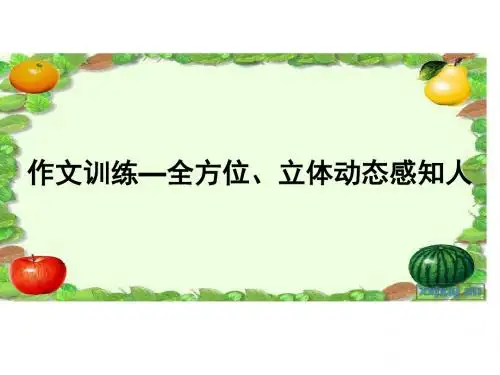作文训练——全方位、立体动态感知人 PPT课件