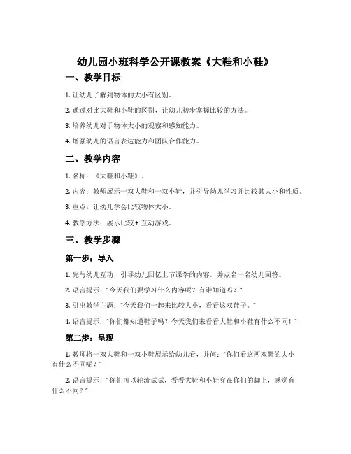 幼儿园小班科学公开课教案《大鞋和小鞋》