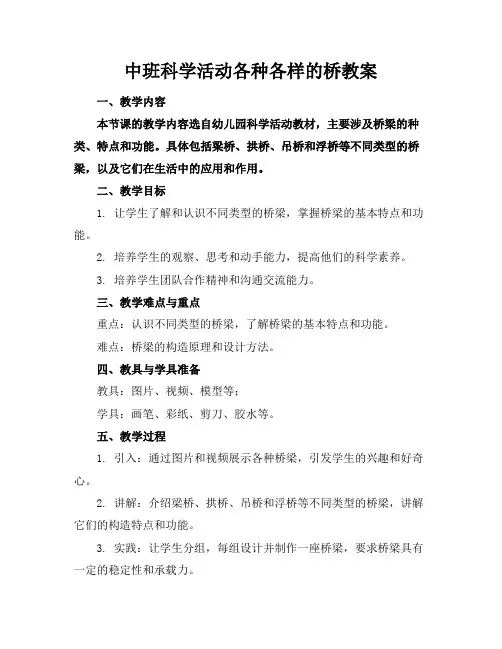 中班科学活动各种各样的桥教案