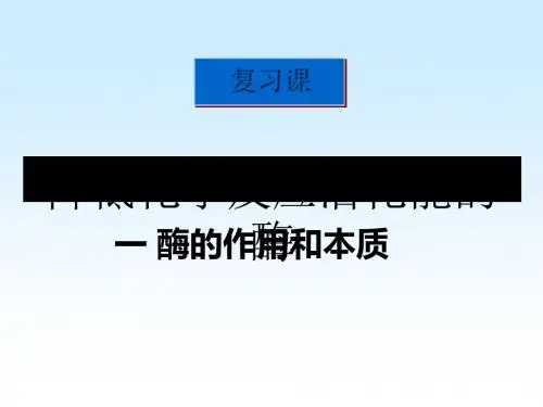 高考生物一轮复习课件：酶的作用和本质 PPT课件 人教课标版