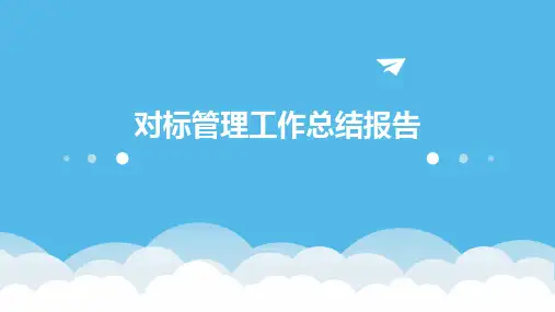 对标管理工作总结报告PPT