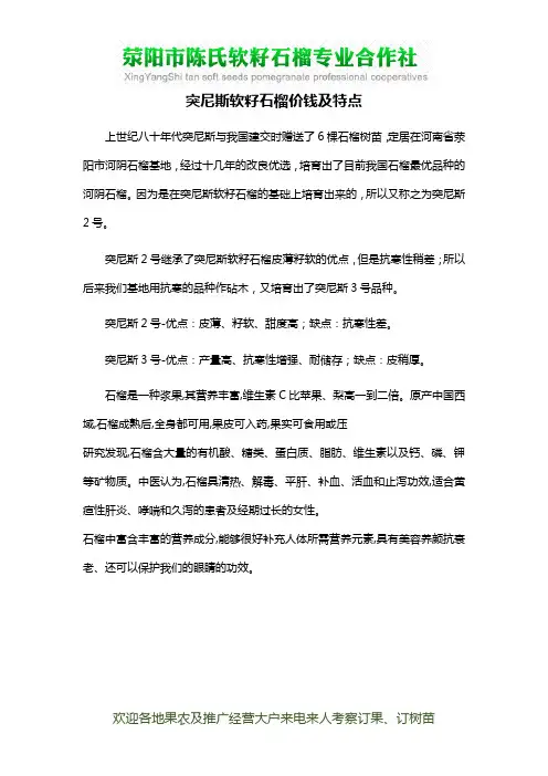 突尼斯软籽石榴价钱及特点
