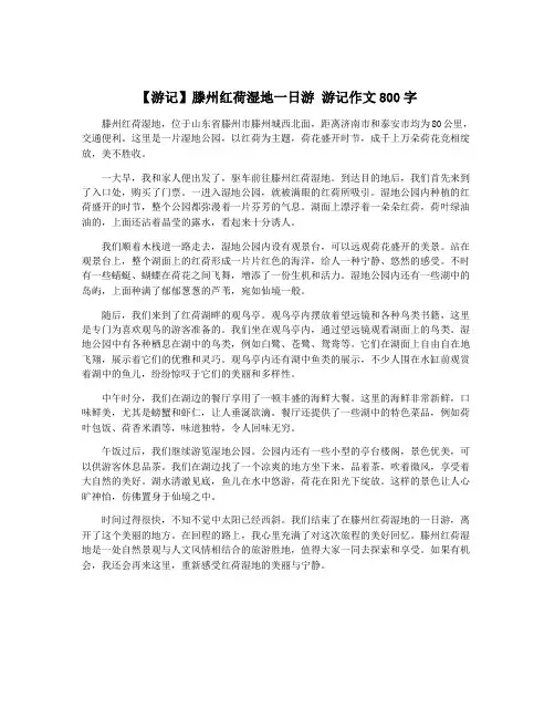 【游记】滕州红荷湿地一日游 游记作文800字