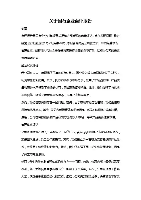 关于国有企业自评报告